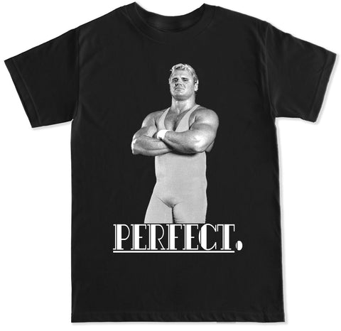 Men's MR. PERFECT T Shirt