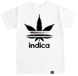 Men's INDICA ADIDAS T Shirt